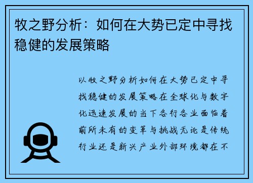 牧之野分析：如何在大势已定中寻找稳健的发展策略